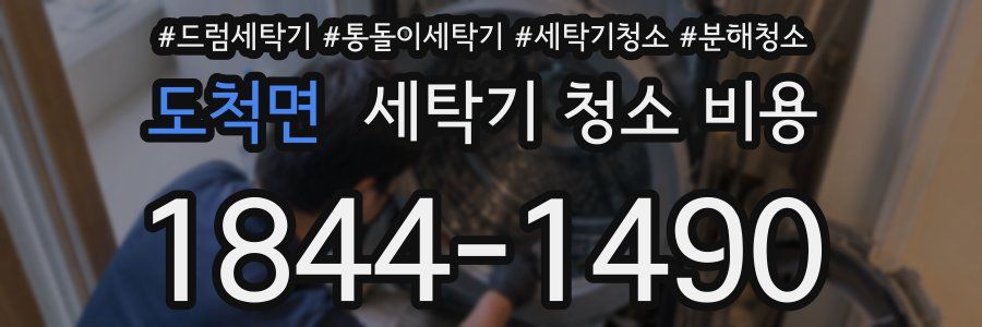 도척면 세탁기 청소 비용