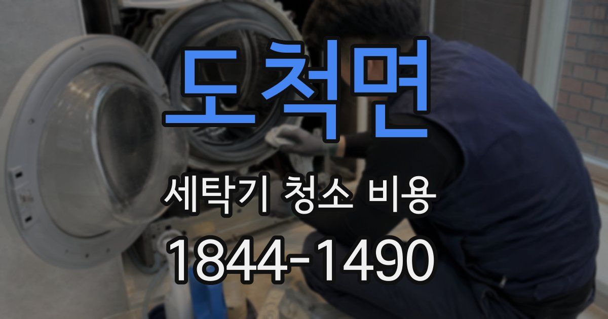 도척면 세탁기 청소 비용