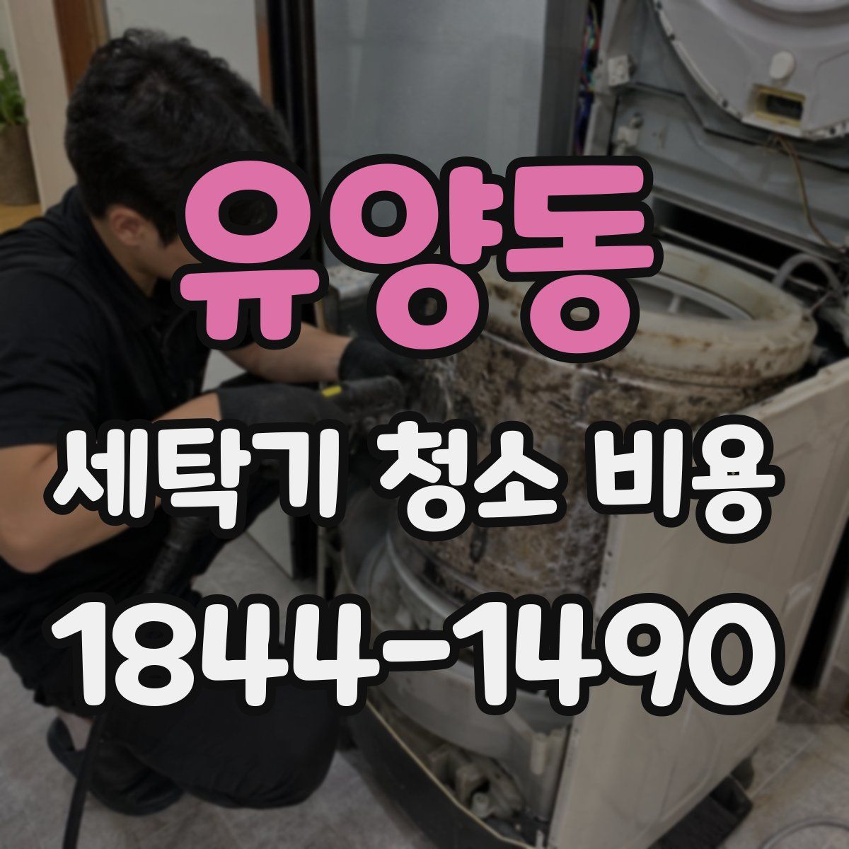 유양동 세탁기 청소 비용