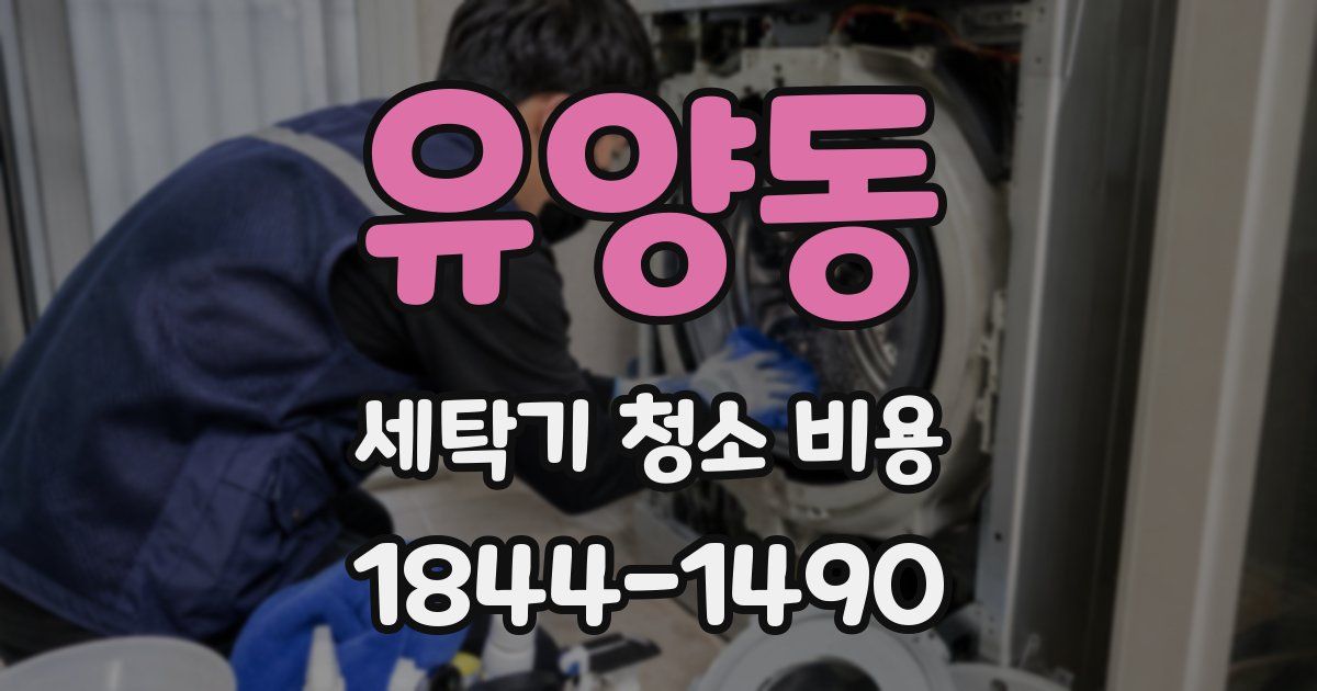 유양동 세탁기 청소 비용