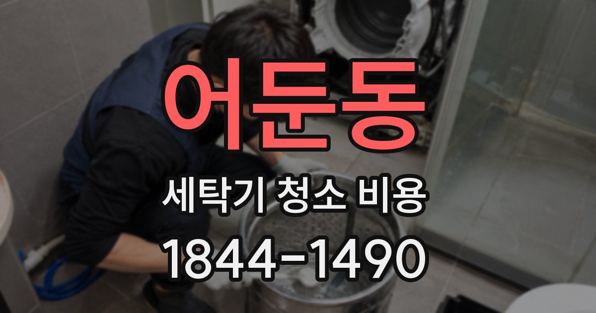 어둔동 세탁기 청소 비용