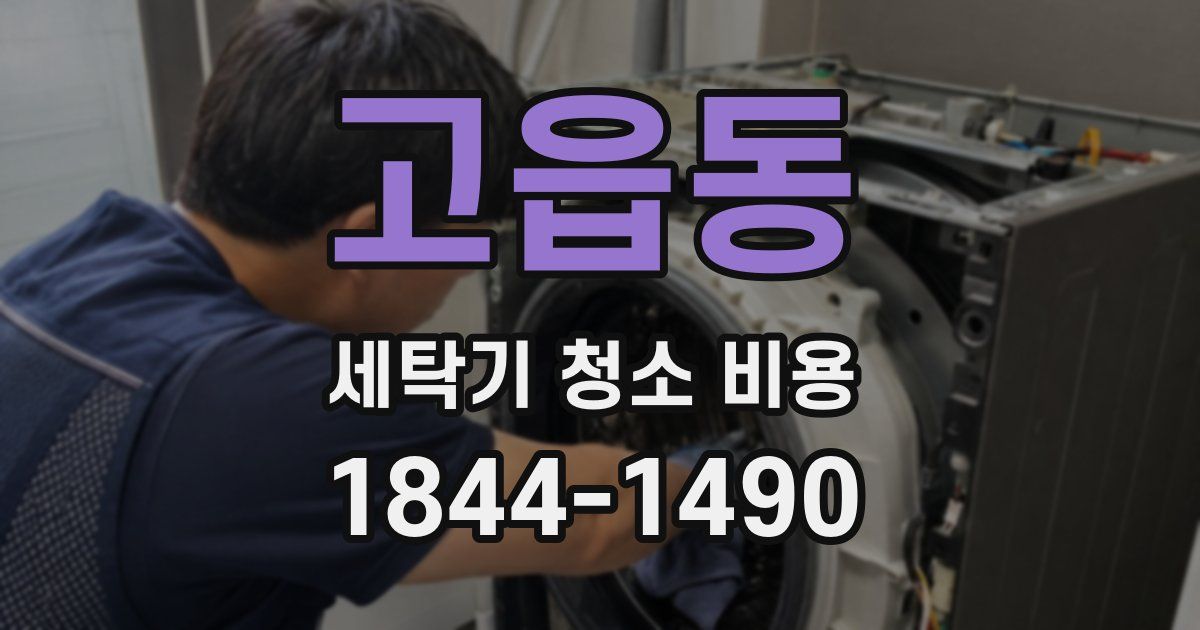 고읍동 세탁기 청소 비용
