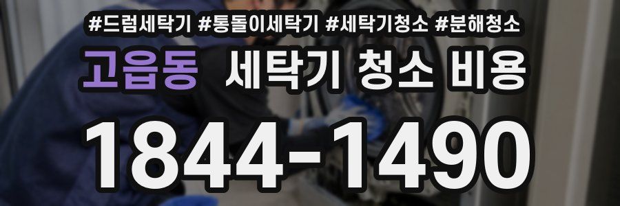 고읍동 세탁기 청소 비용
