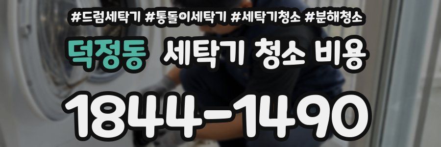 덕정동 세탁기 청소 비용