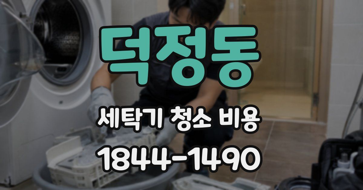덕정동 세탁기 청소 비용