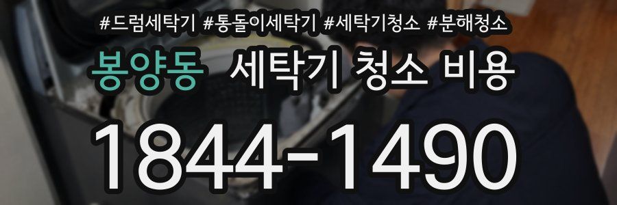 봉양동 세탁기 청소 비용