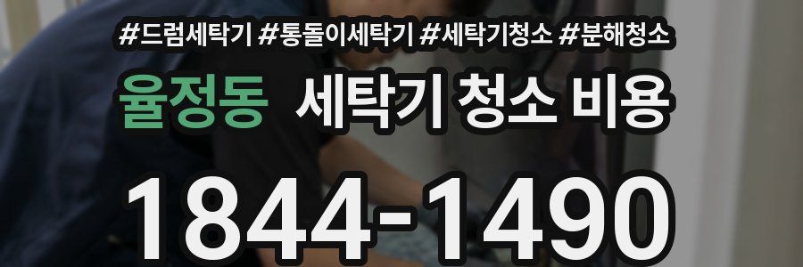 율정동 세탁기 청소 비용