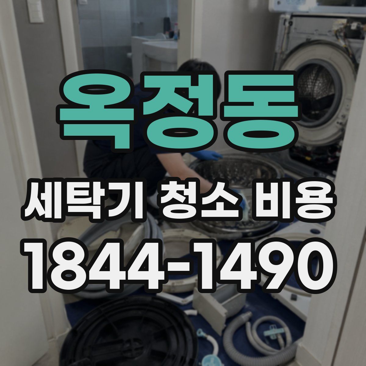 옥정동 세탁기 청소 비용