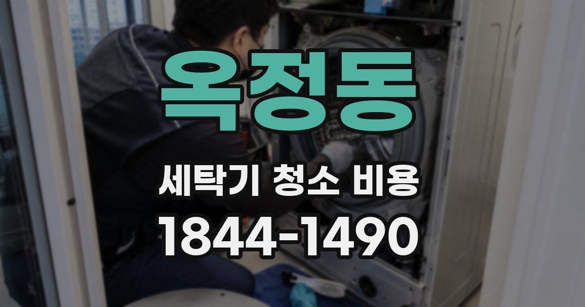 옥정동 세탁기 청소 비용
