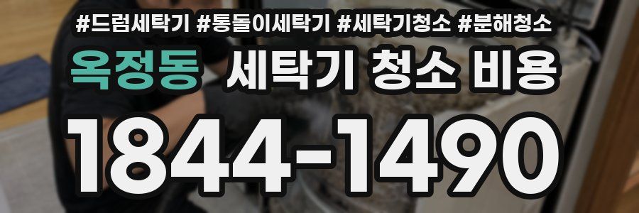 옥정동 세탁기 청소 비용