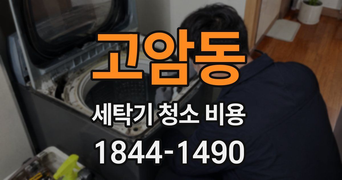 고암동 세탁기 청소 비용