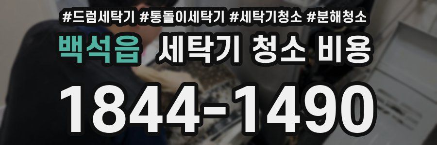 백석읍 세탁기 청소 비용