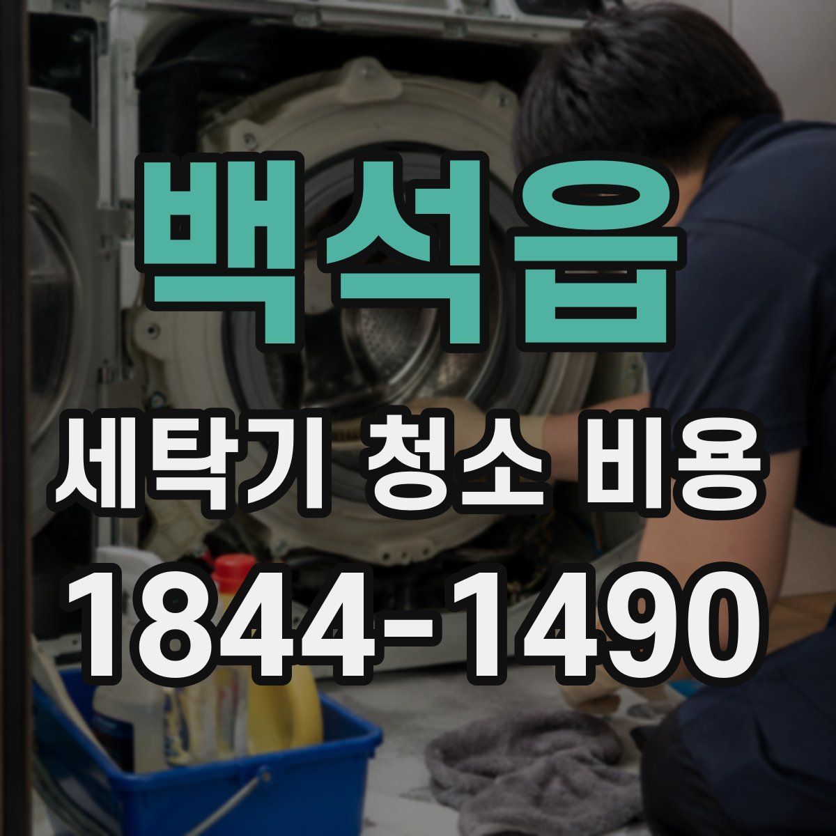 백석읍 세탁기 청소 비용
