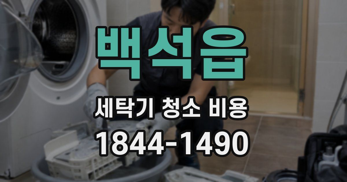 백석읍 세탁기 청소 비용