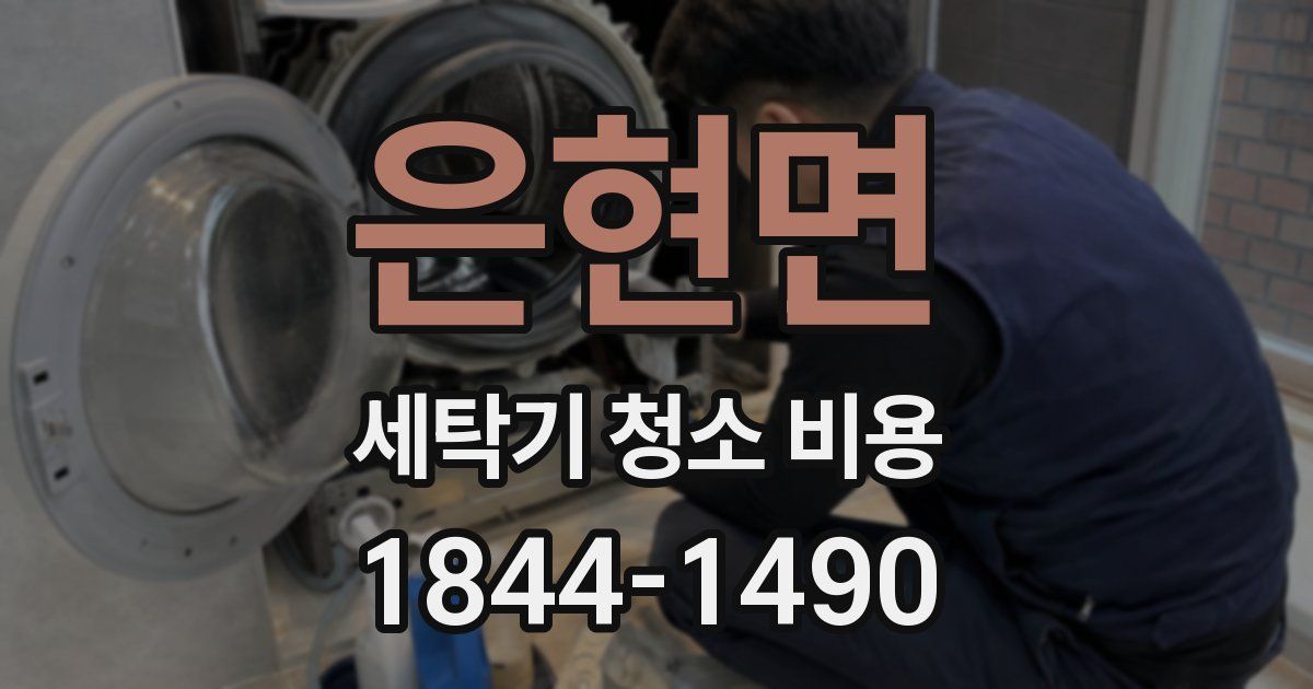 은현면 세탁기 청소 비용