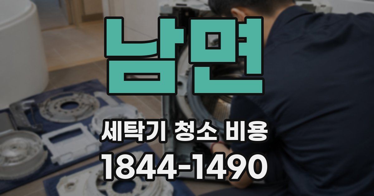 남면 세탁기 청소 비용