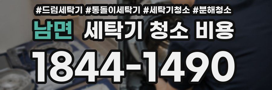 남면 세탁기 청소 비용
