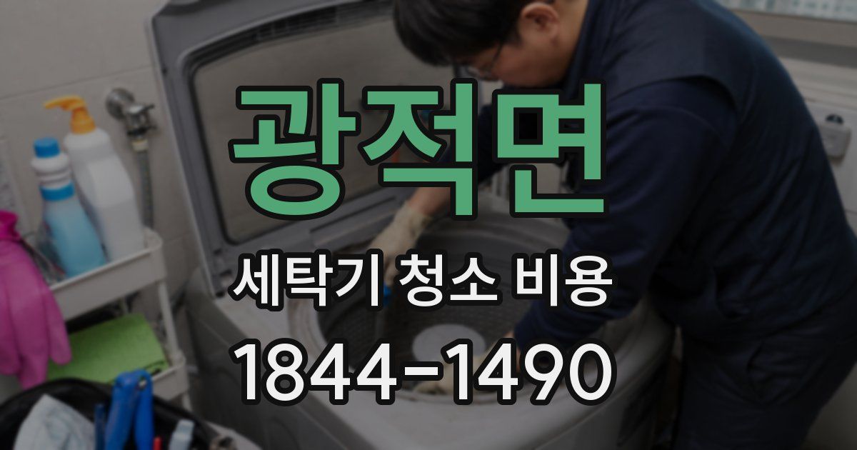 광적면 세탁기 청소 비용