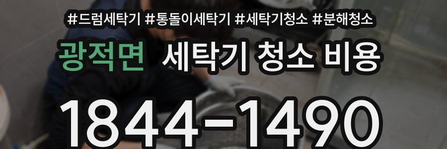 광적면 세탁기 청소 비용