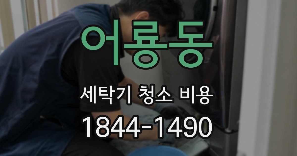 어룡동 세탁기 청소 비용