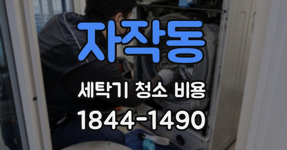 자작동 세탁기 청소 비용