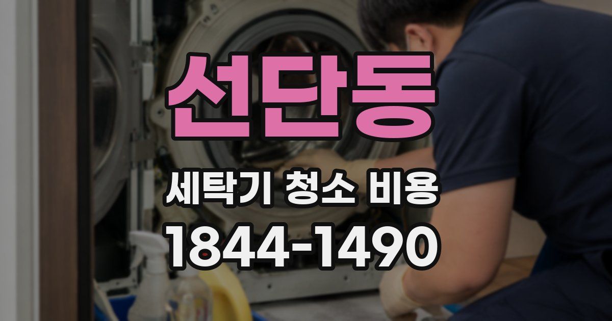 선단동 세탁기 청소 비용