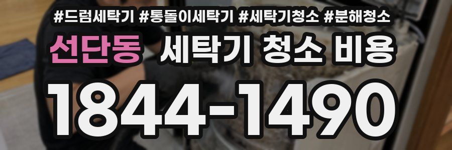 선단동 세탁기 청소 비용
