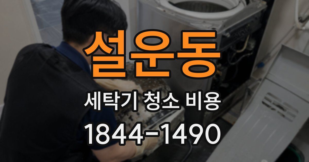 설운동 세탁기 청소 비용