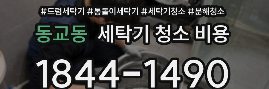 동교동 세탁기 청소 비용
