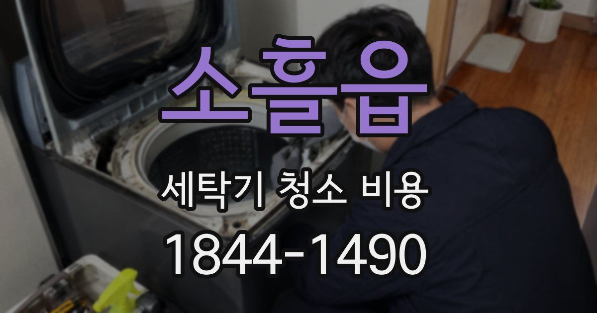 소흘읍 세탁기 청소 비용