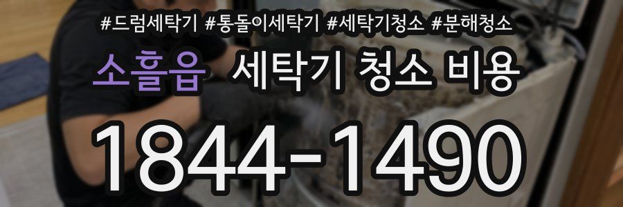 소흘읍 세탁기 청소 비용