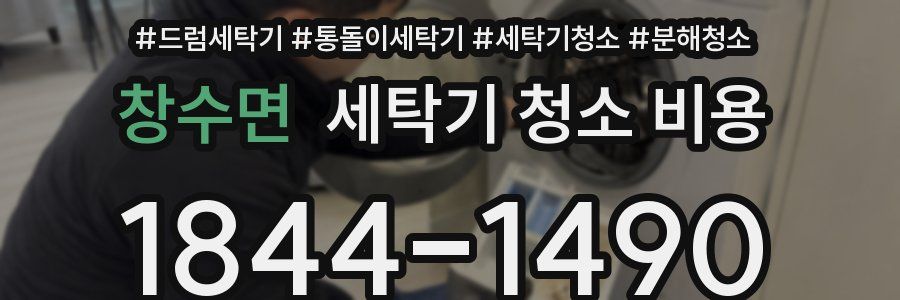 창수면 세탁기 청소 비용