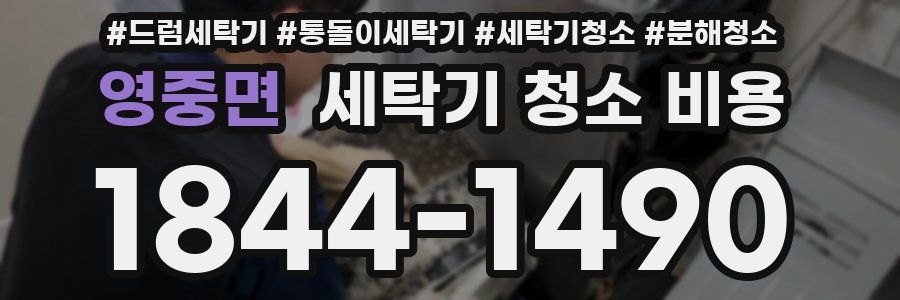 영중면 세탁기 청소 비용
