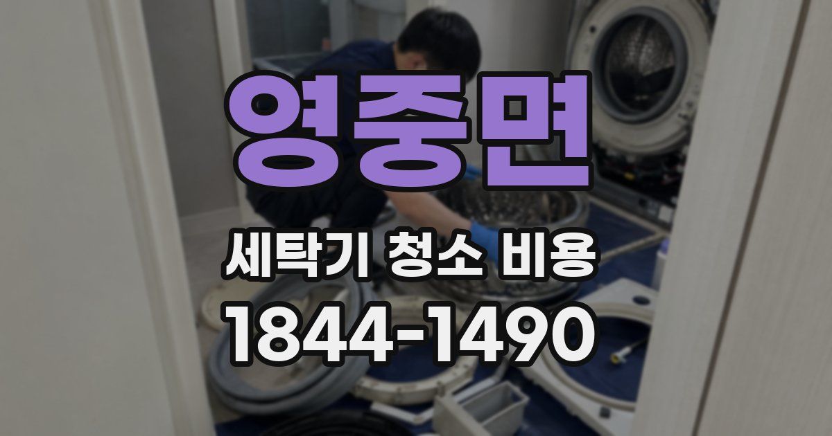 영중면 세탁기 청소 비용