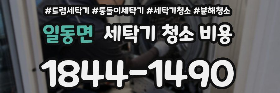 일동면 세탁기 청소 비용