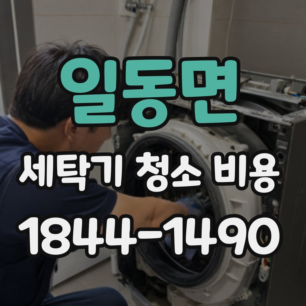 일동면 세탁기 청소 비용