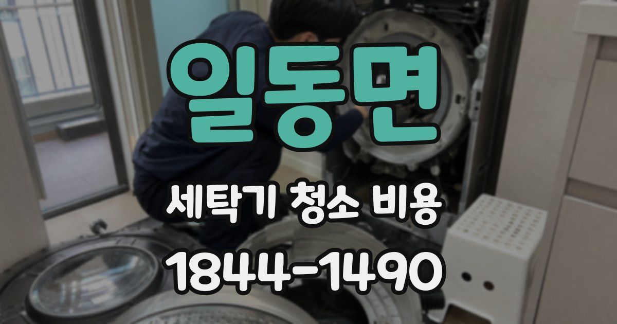 일동면 세탁기 청소 비용