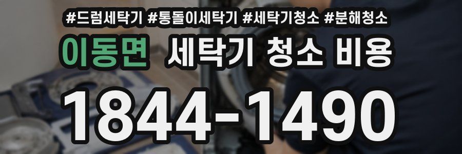이동면 세탁기 청소 비용