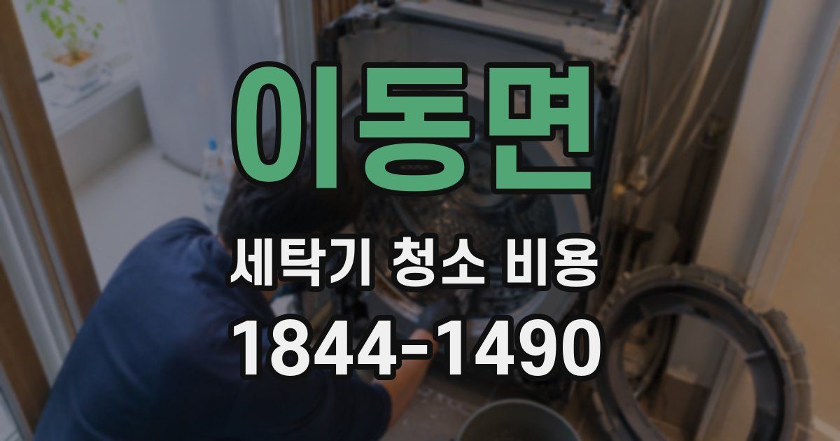 이동면 세탁기 청소 비용