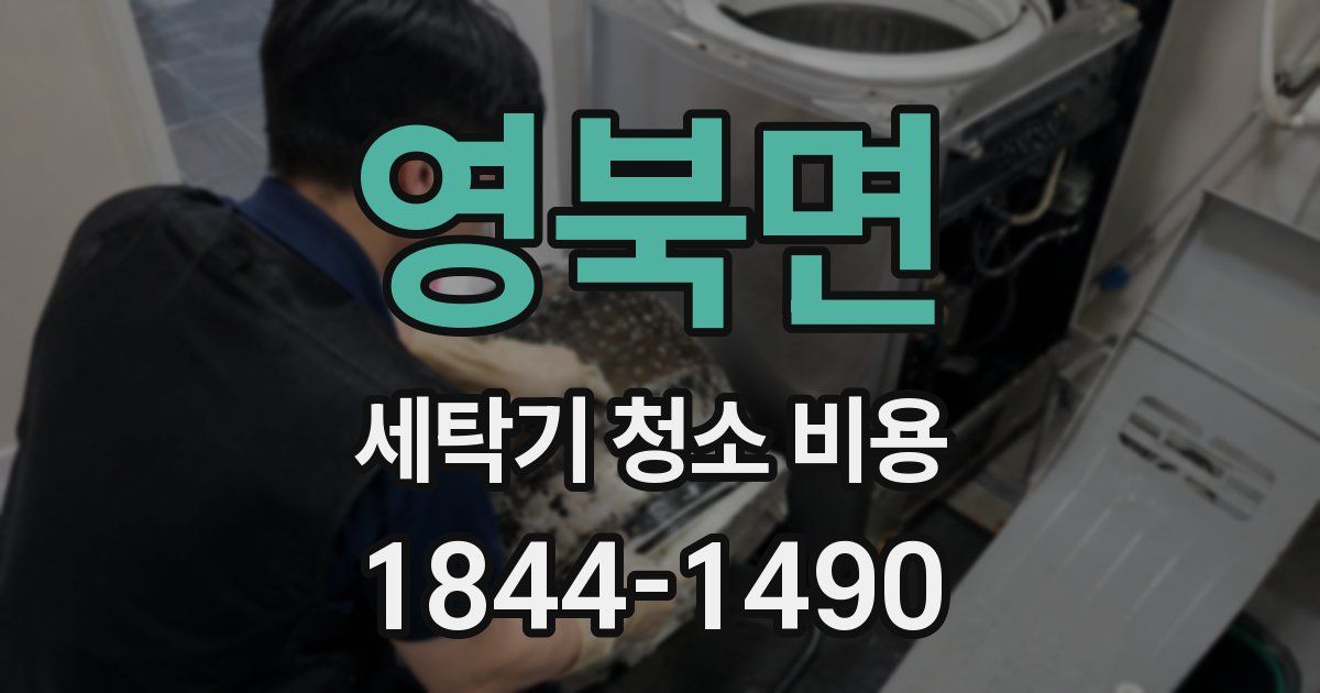 영북면 세탁기 청소 비용