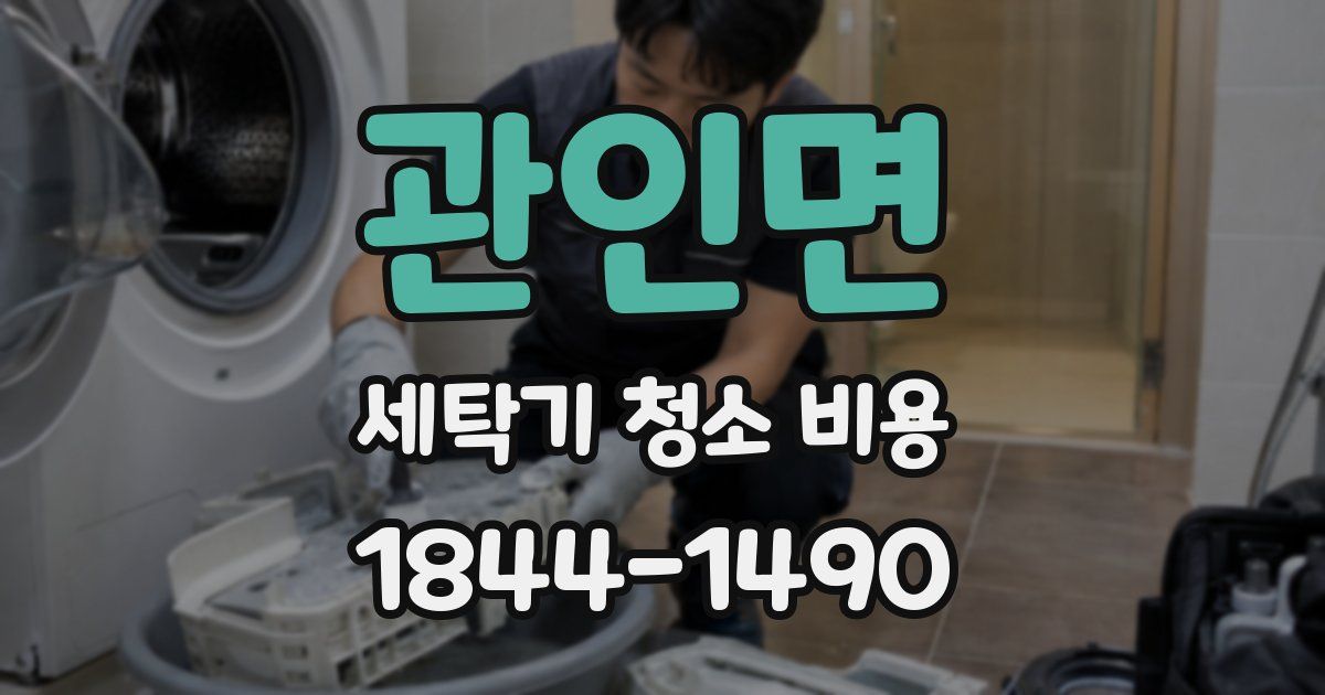 관인면 세탁기 청소 비용