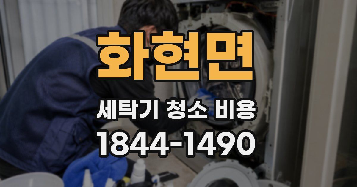 화현면 세탁기 청소 비용