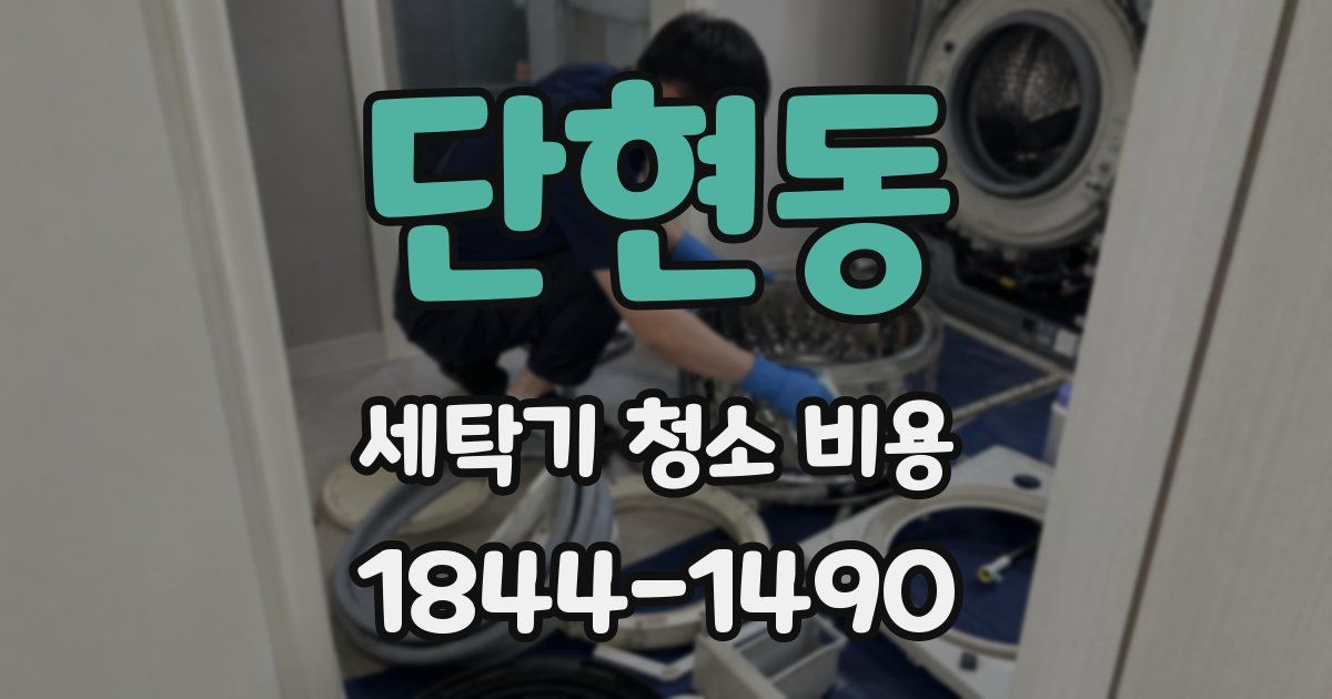 단현동 세탁기 청소 비용