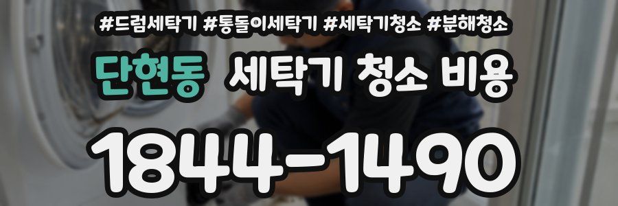 단현동 세탁기 청소 비용