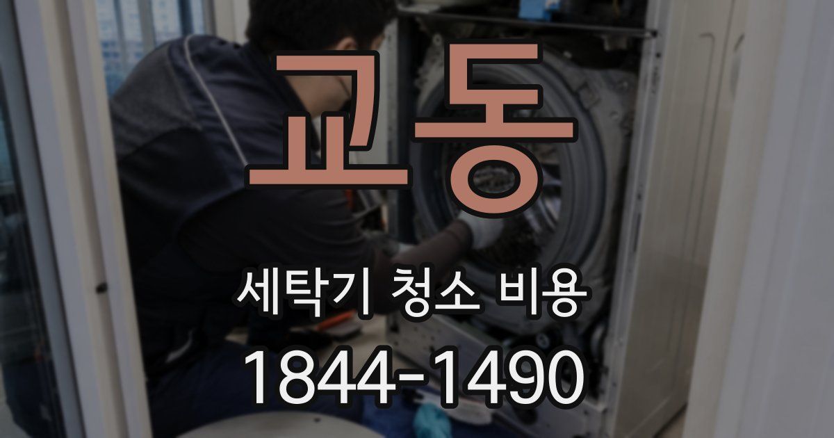 교동 세탁기 청소 비용