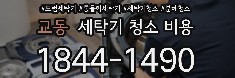교동 세탁기 청소 비용