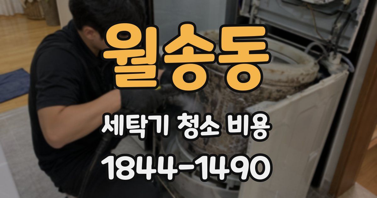 월송동 세탁기 청소 비용