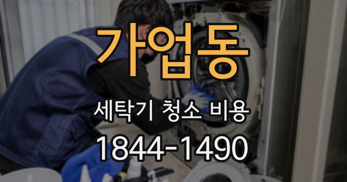가업동 세탁기 청소 비용