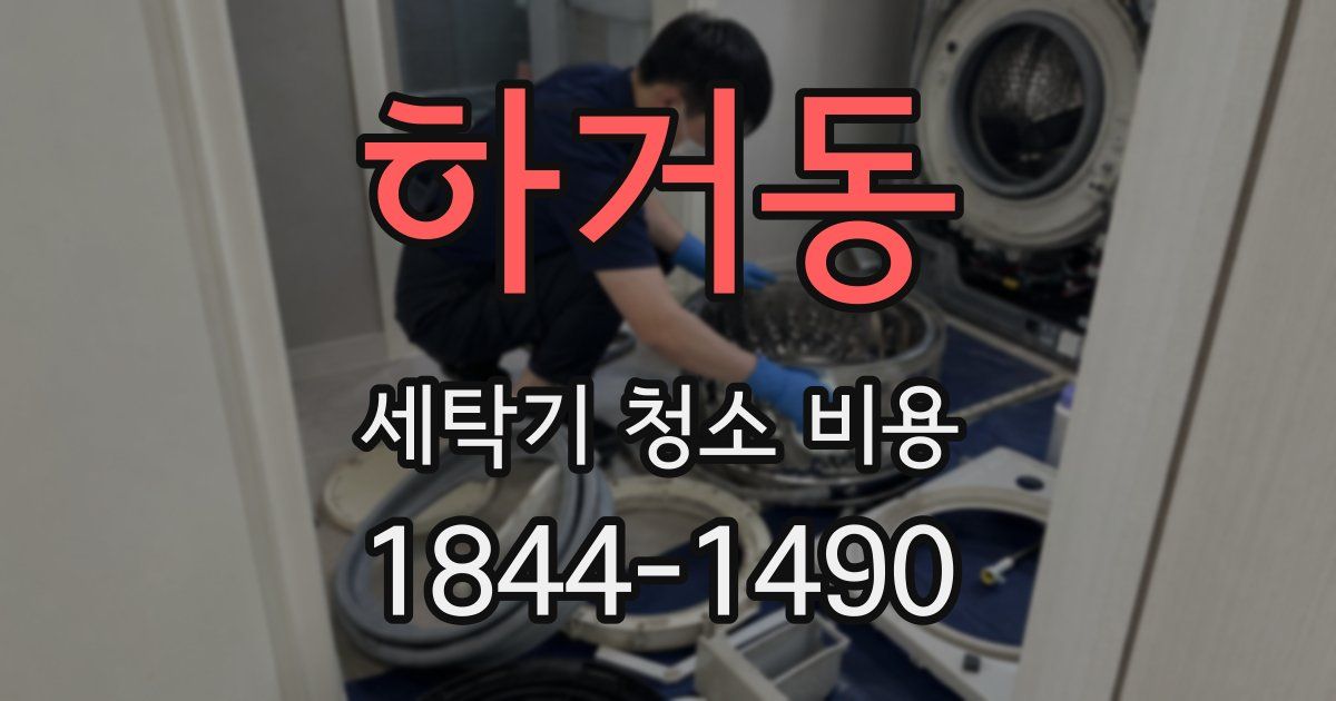 하거동 세탁기 청소 비용