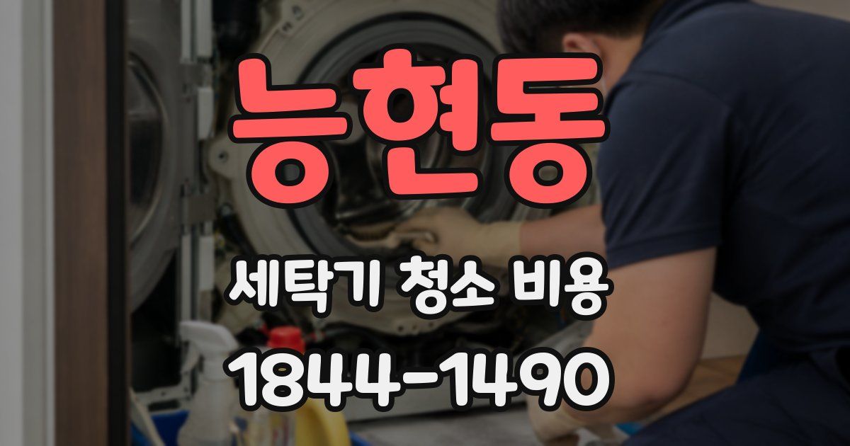 능현동 세탁기 청소 비용